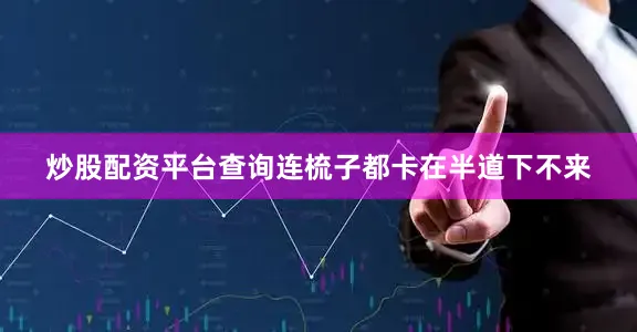 炒股配资平台查询连梳子都卡在半道下不来