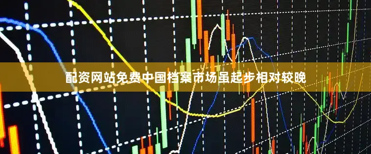 配资网站免费中国档案市场虽起步相对较晚
