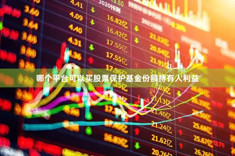 哪个平台可以买股票保护基金份额持有人利益